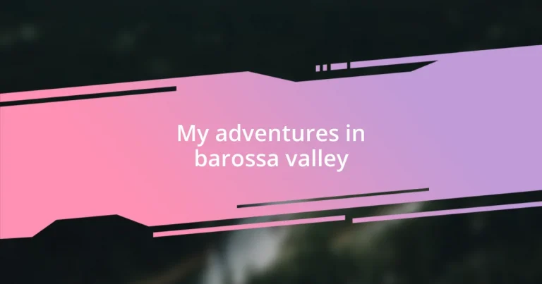 My adventures in barossa valley