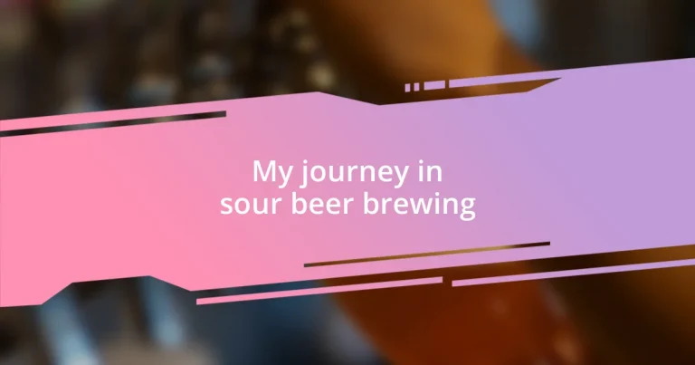 My journey in sour beer brewing