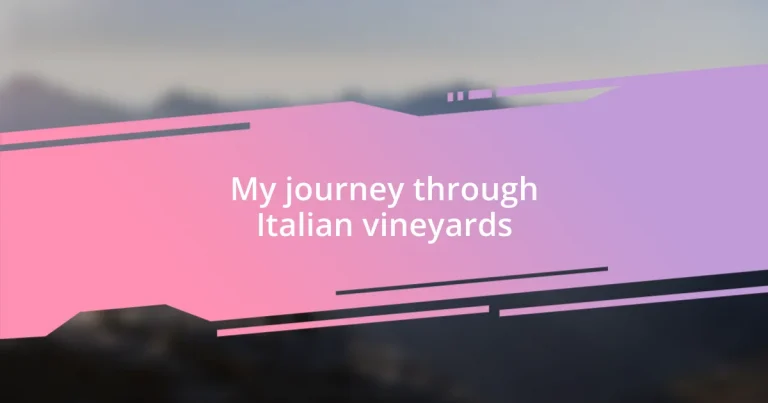 My journey through Italian vineyards