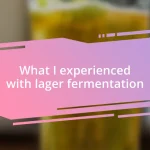 What I experienced with lager fermentation